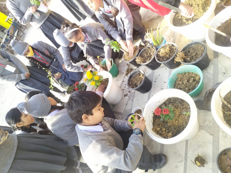 plants growing activities (2023-24)